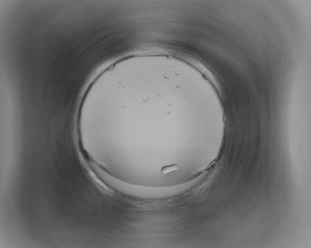 X0000111161485200908111144
