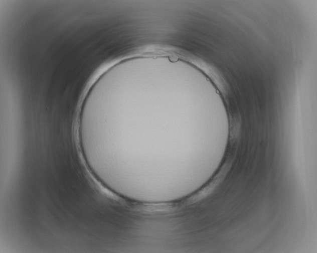 X0000111161486200908111144