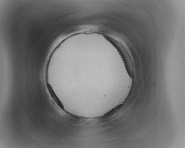 X0000111161488200908111144