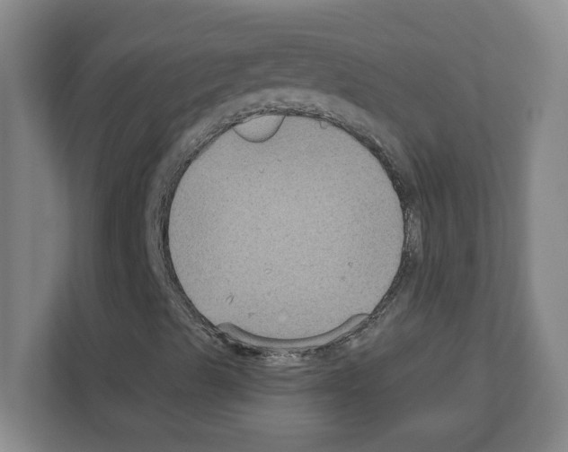 X0000111161489200908111143