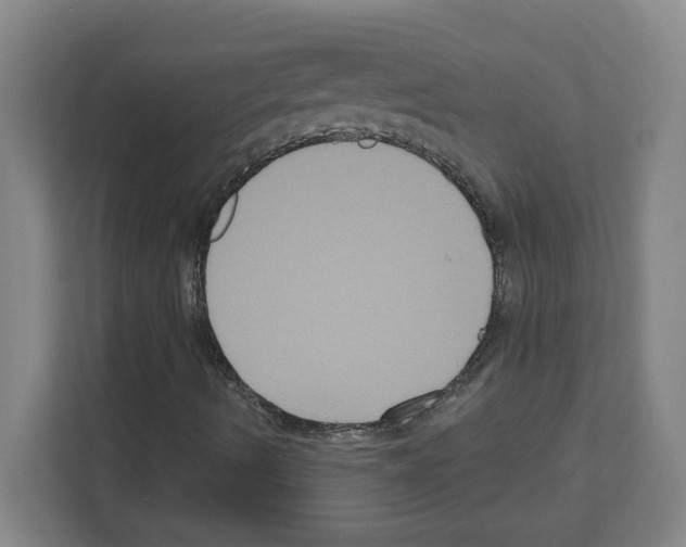 X0000111161490200908111143