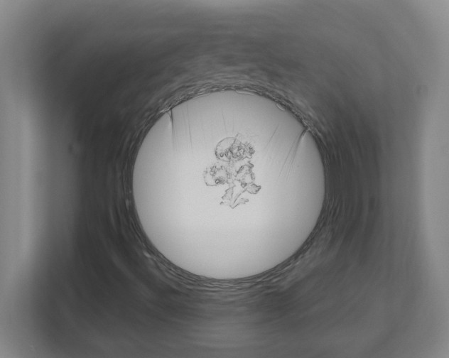 X0000111161492200908111143