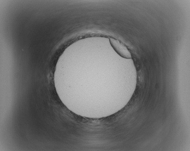 X0000111161495200908111143