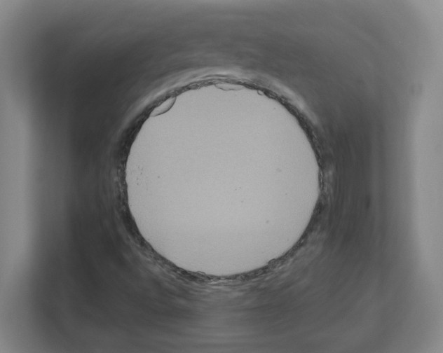 X0000111161496200908111143