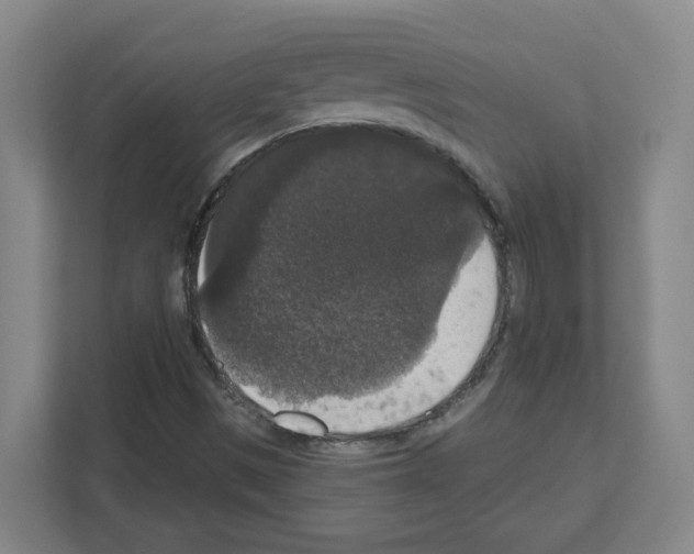 X0000111161497200908111143