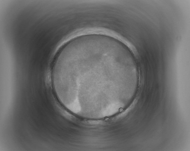 X0000111161498200908111143