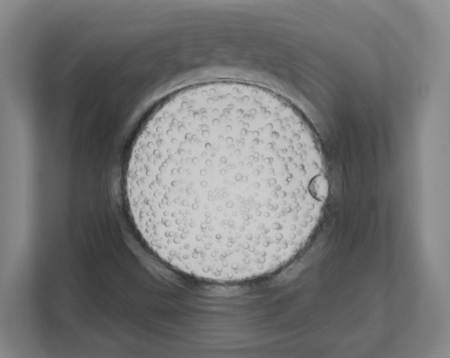 X0000111161499200908111143