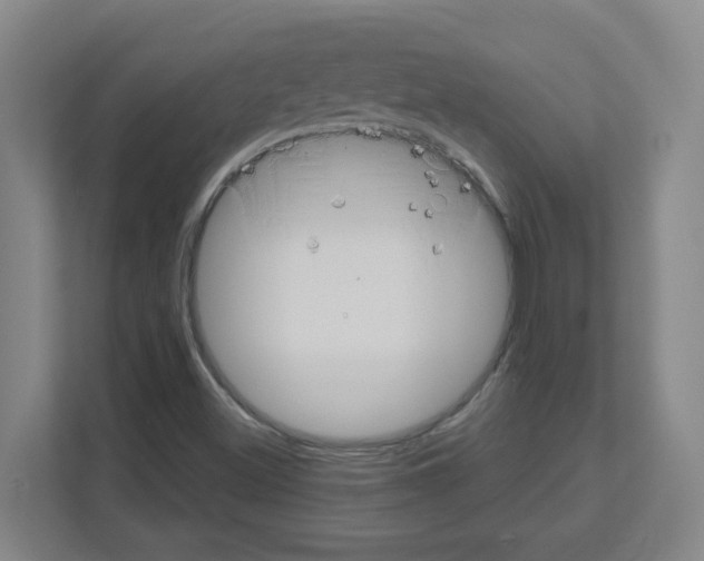X0000111161500200908111143