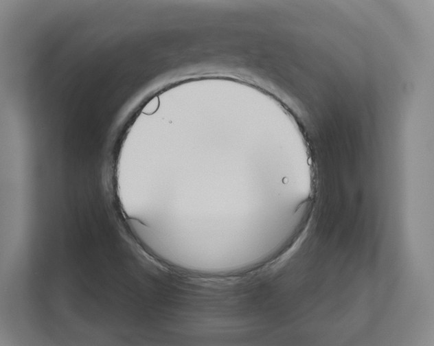 X0000111161502200908111143