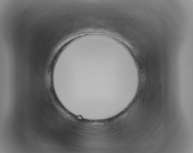 X0000111161503200908111143