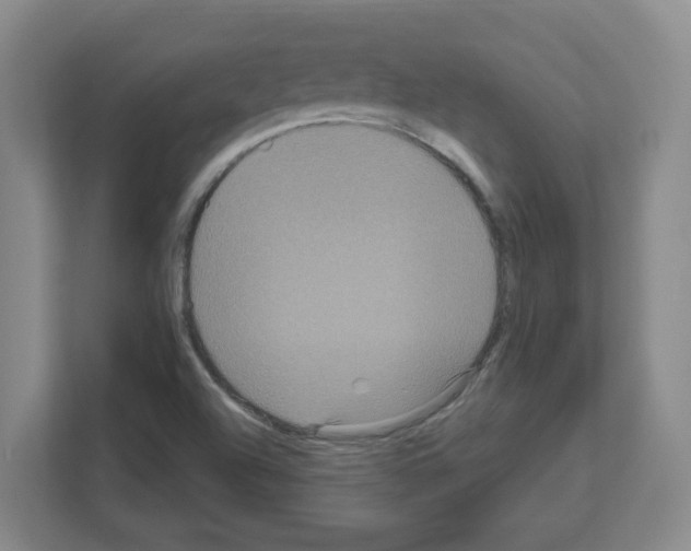 X0000111161504200908111143