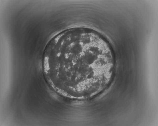 X0000111161505200908111143