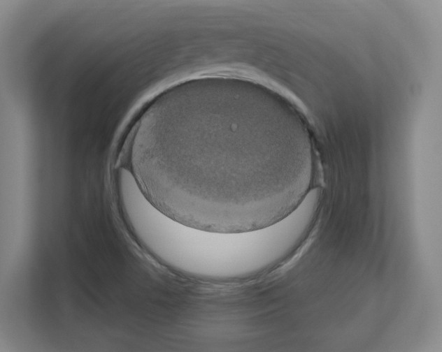 X0000111161506200908111143