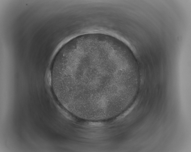 X0000111161509200908111143