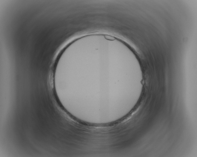 X0000111161510200908111143