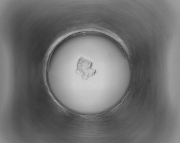 X0000111161512200908111143