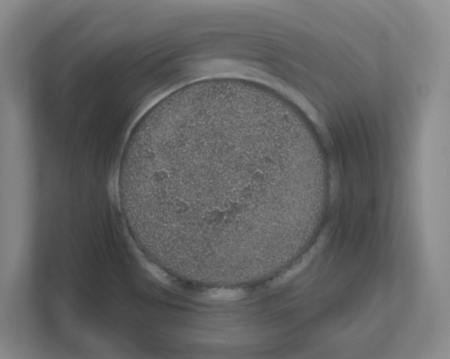 X0000111161513200908111143