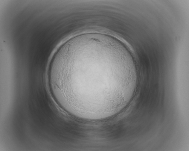 X0000111161514200908111143
