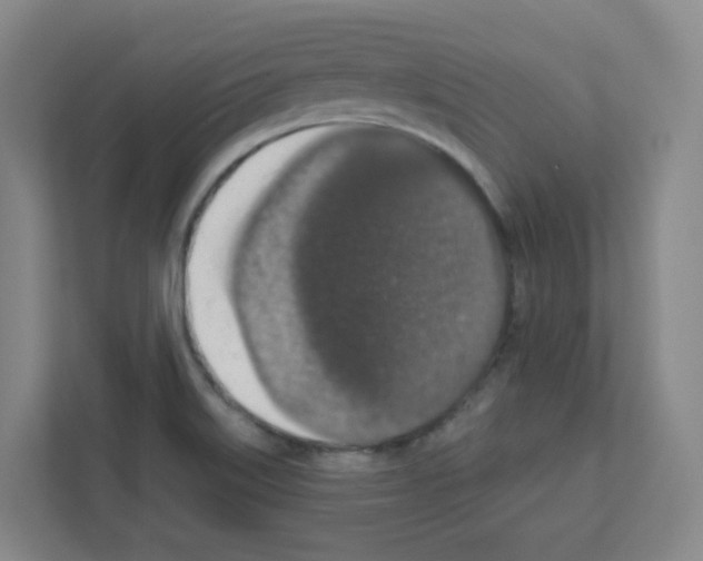 X0000111161515200908111143