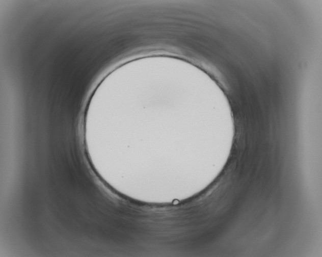 X0000111161516200908111143