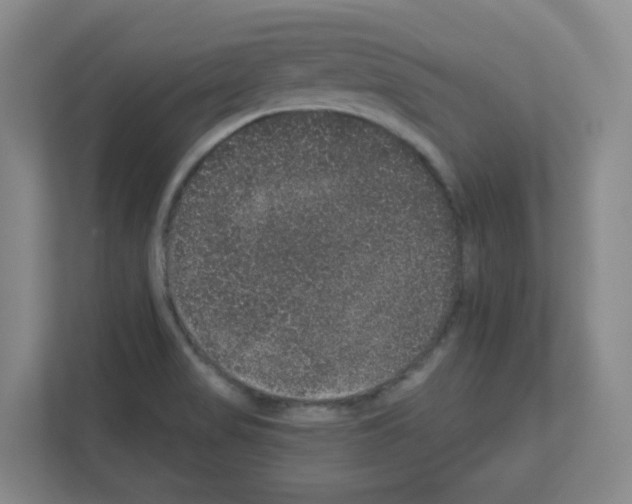 X0000111161517200908111143