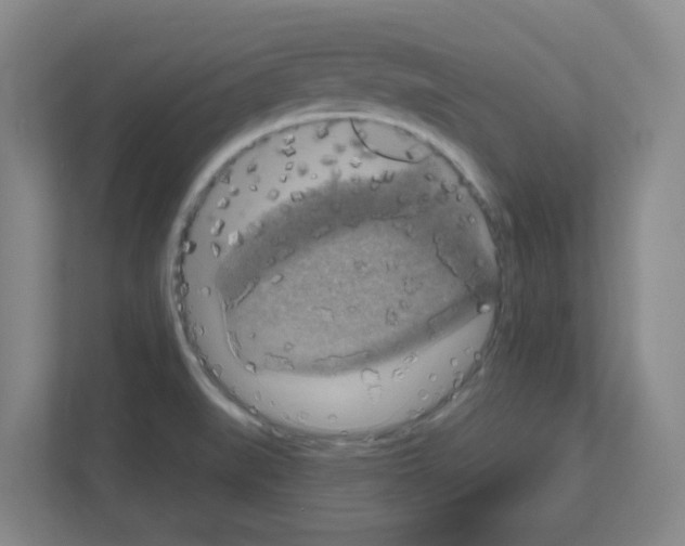 X0000111161519200908111143