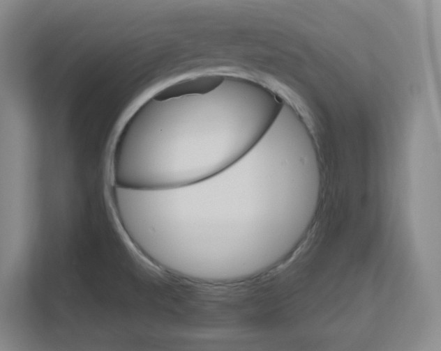 X0000111161520200908111143