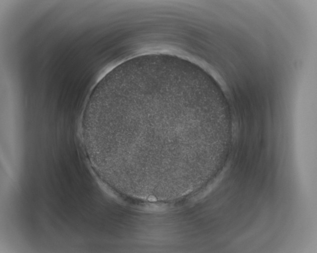 X0000111161521200908111144