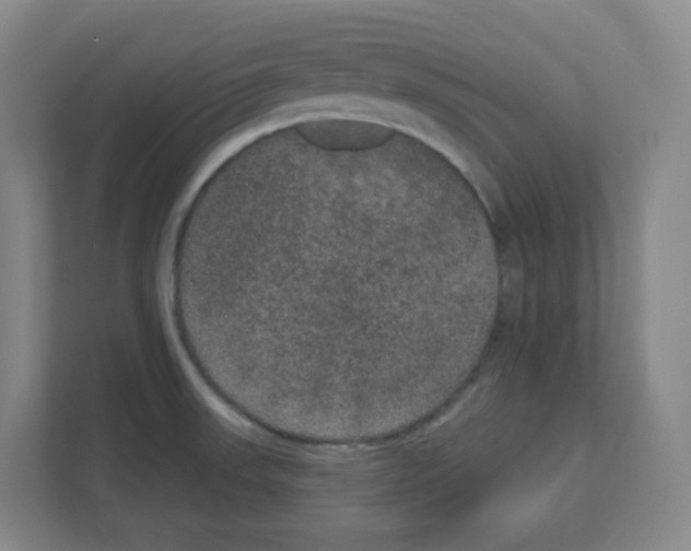 X0000111161523200908111144
