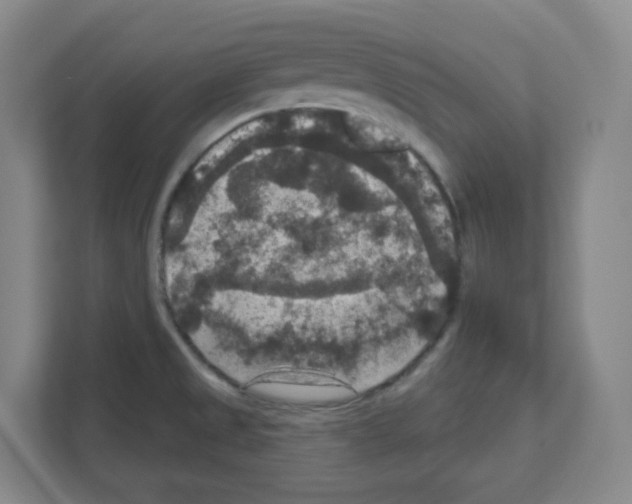 X0000111161525200908111144