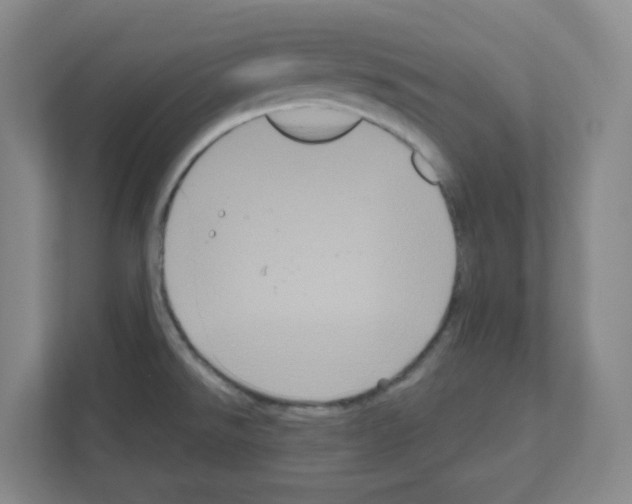 X0000111161526200908111144