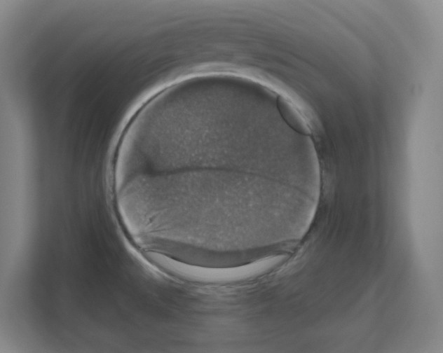 X0000111161527200908111144