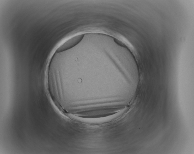 X0000111161528200908111144