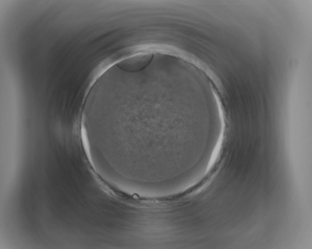 X0000111161529200908111144