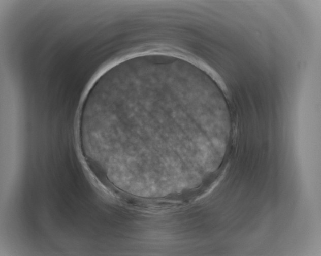 X0000111161530200908111144