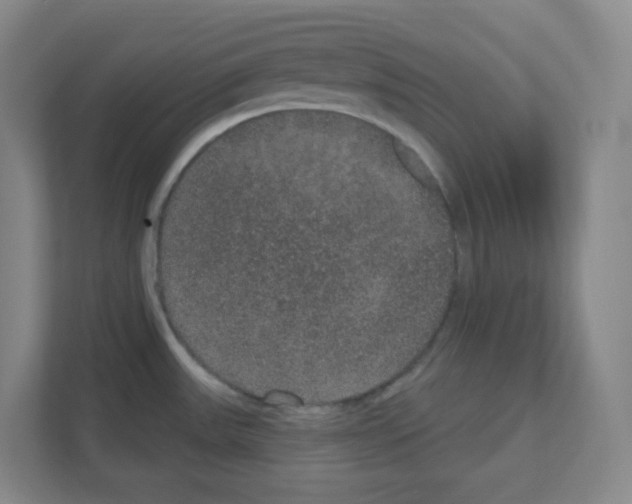 X0000111161531200908111144