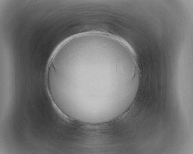 X0000111161532200908111144