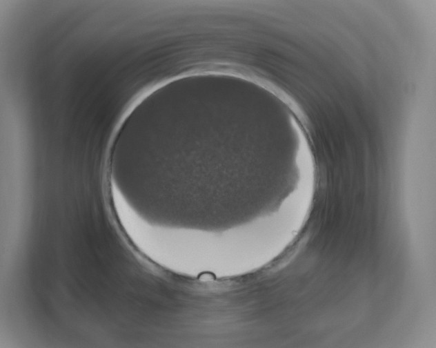 X0000111161533200908111144