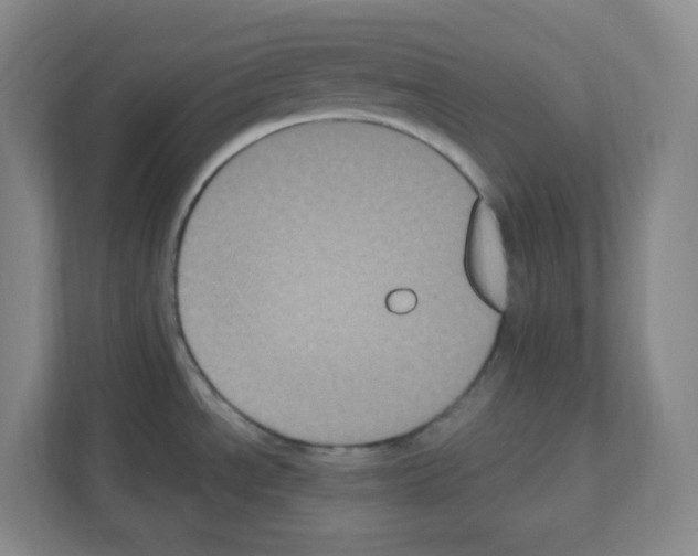 X0000111161534200908111144