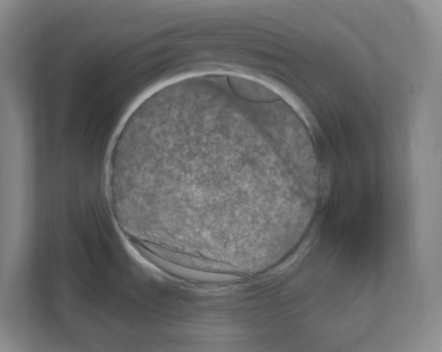 X0000111161535200908111144