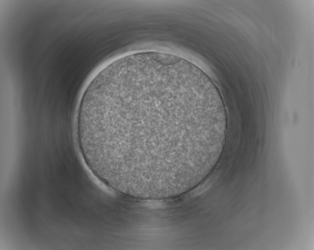 X0000111161536200908111144