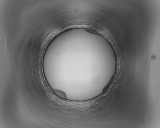 X0000111170001200907011019