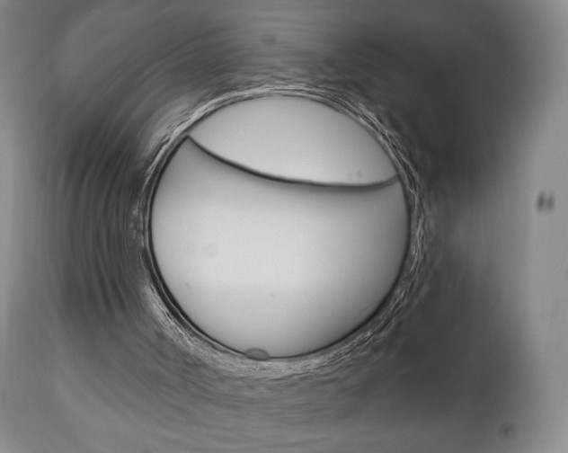 X0000111170002200907011019