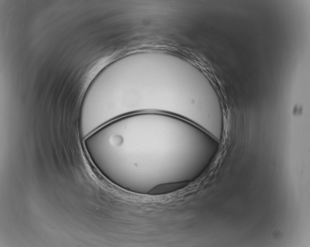 X0000111170003200907011019