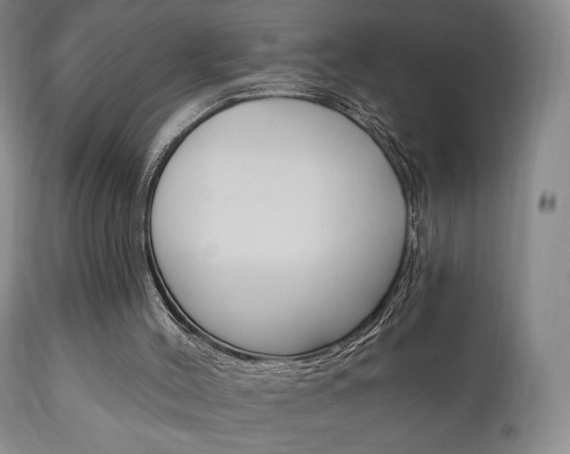 X0000111170004200907011019