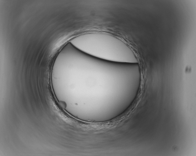 X0000111170005200907011019