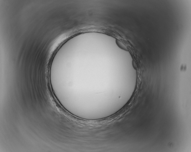 X0000111170006200907011019