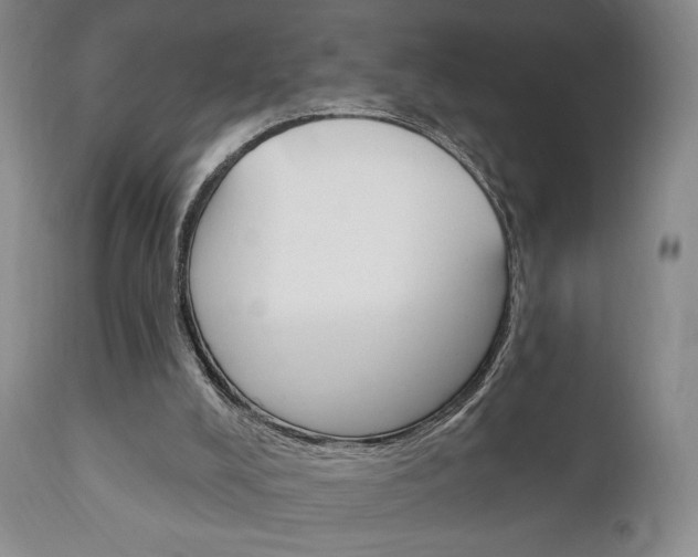 X0000111170008200907011019