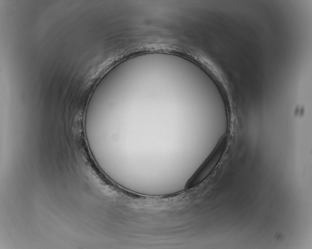 X0000111170009200907011019