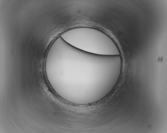 X0000111170010200907011019